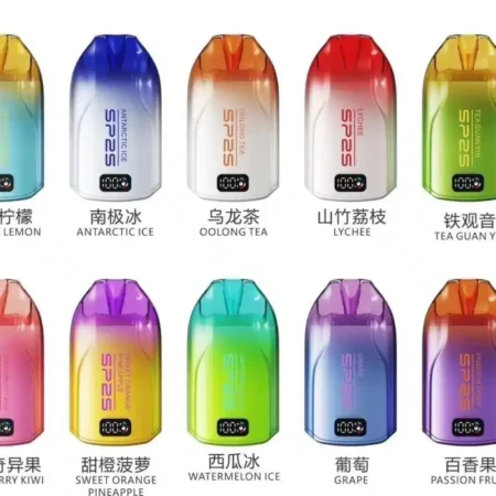 SP2S12000口拋棄式/一次性可充電電子煙/大容量拋棄式電子煙 蒸汽俱樂部 711到付